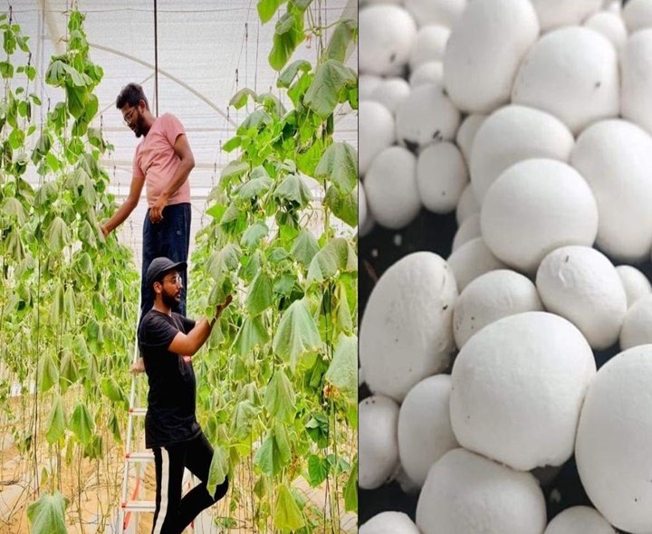 యువతకు ఆదర్శం.. ఆ అన్నదమ్ములు