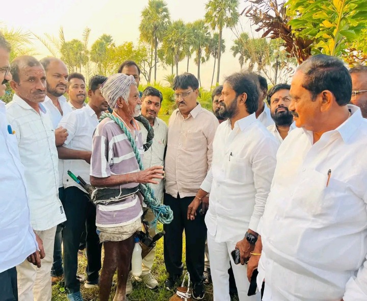 తాటి, ఈత వనాన్ని పరిశీలించిన మాజీ మంత్రి