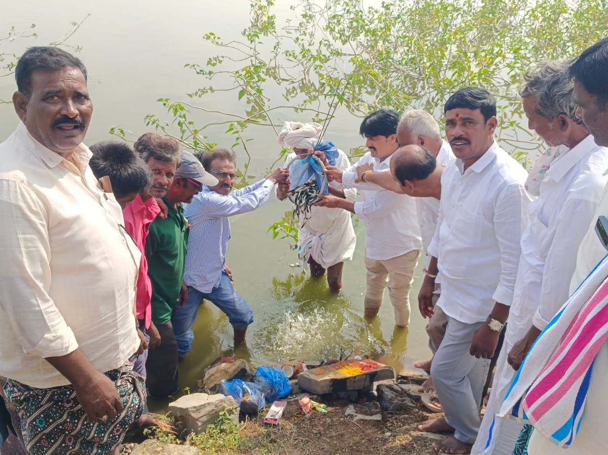 చేప పిల్లల విడుదల కార్యక్రమంలో ఎమ్మెల్యే