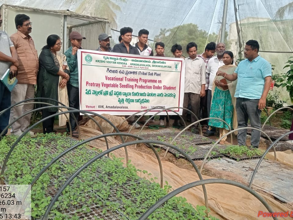 ఉద్యాన వ్యవసాయంపై శిక్షణ