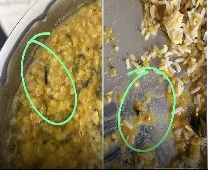 జేఎన్టీయూలో తినే ఆహారంలో పురుగులు