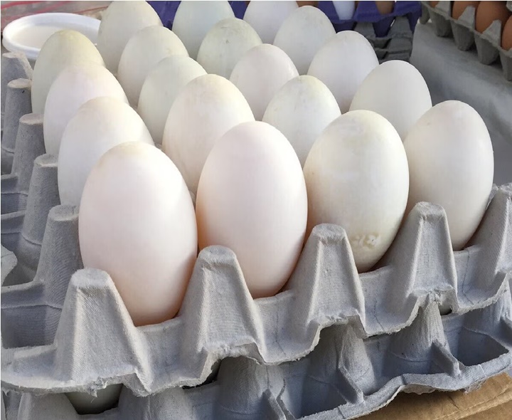 ఆకాశాన్నంటుతున్న ‘కోడిగుడ్డు’ ధరలు