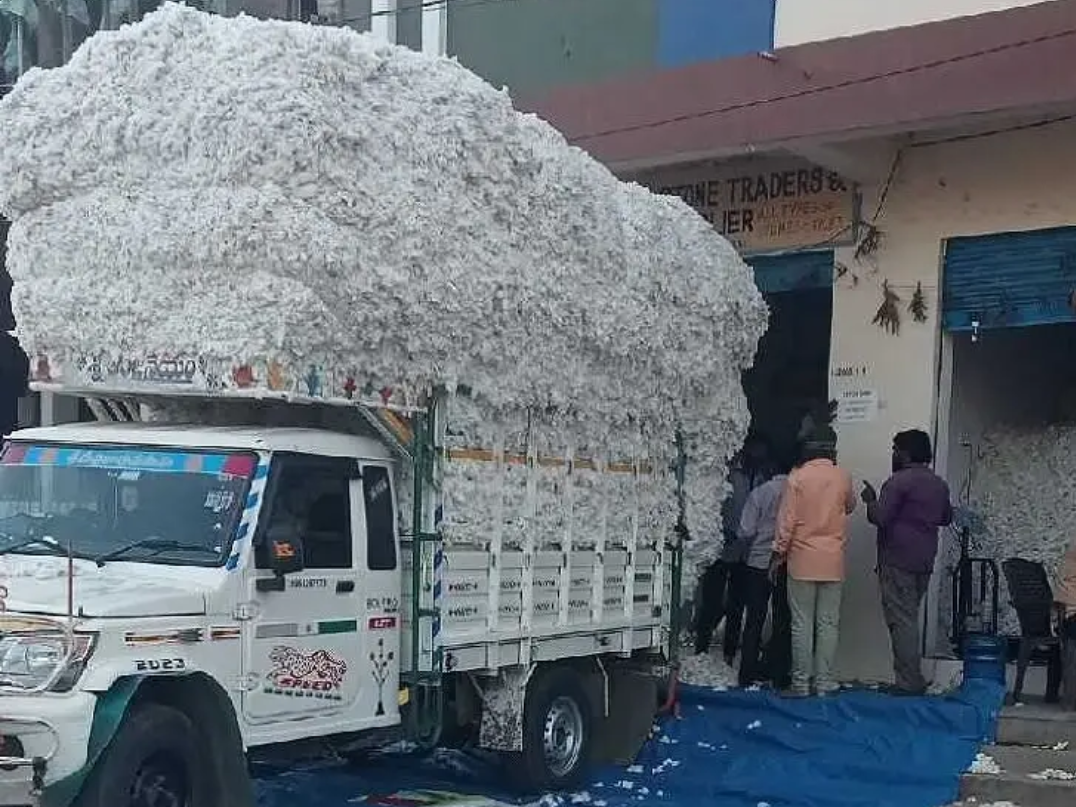 పత్తి సీజన్ తో దళారుల దందా..!