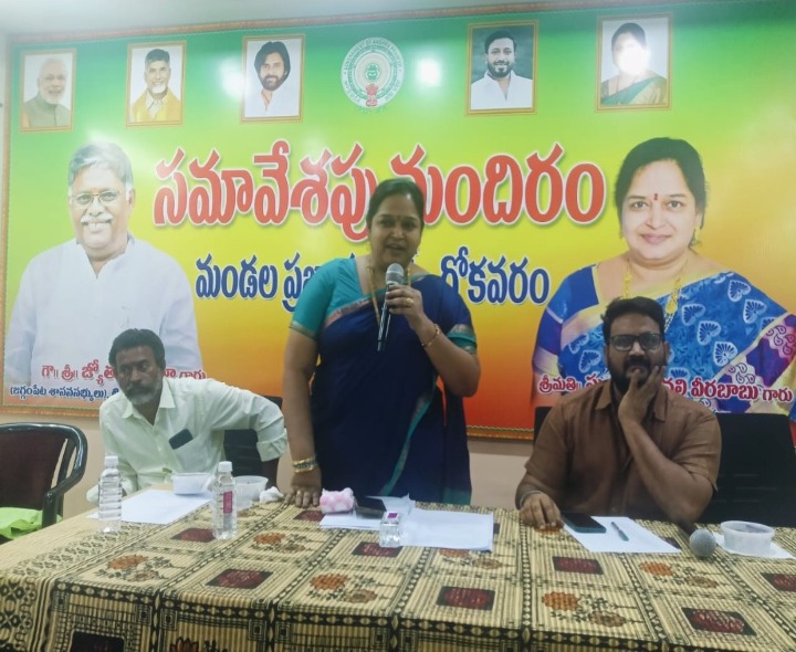 దోమల నివారణకు చర్యలు చేపట్టండి: ఎంపీపీ