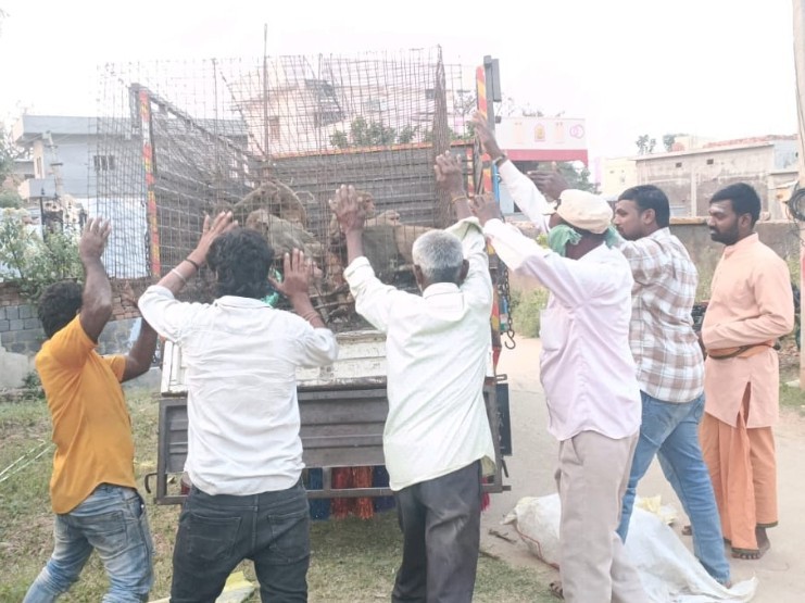 నల్లమల అడవులకు కోతుల తరలింపు