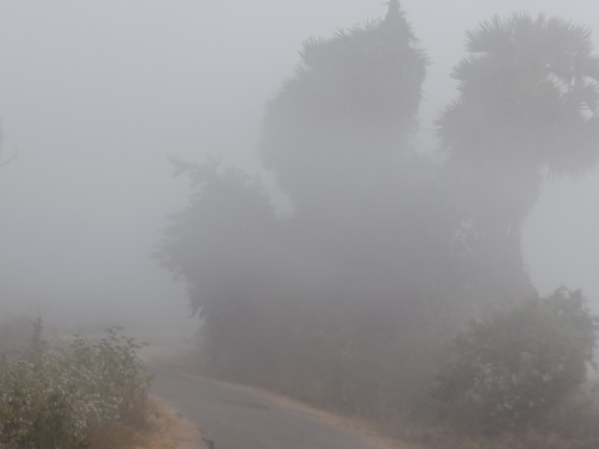 చలి తీవ్రతతో మన్యం గజగజ