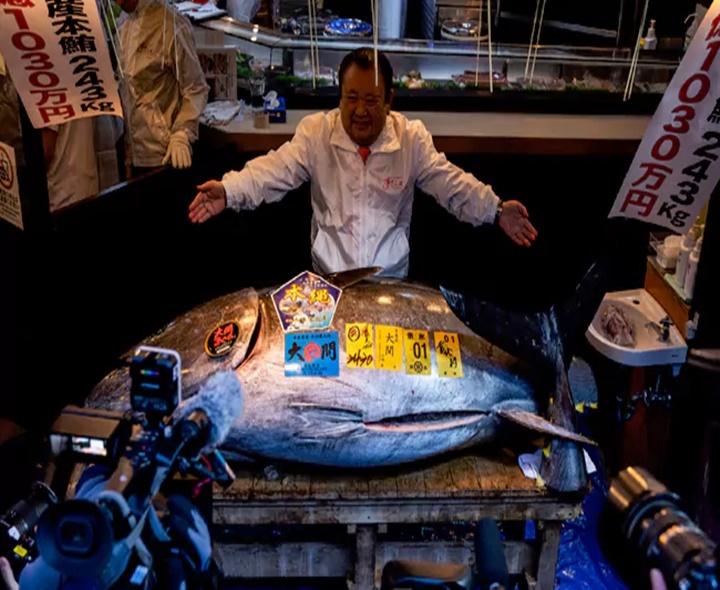 3.24 మిలియన్‌ డాలర్లు పలికిన చేప