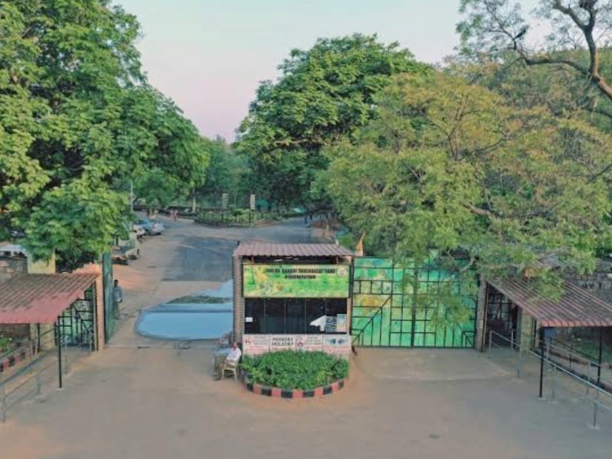 జనవరి 8 నుంచి జూ వింటర్ క్యాంప్