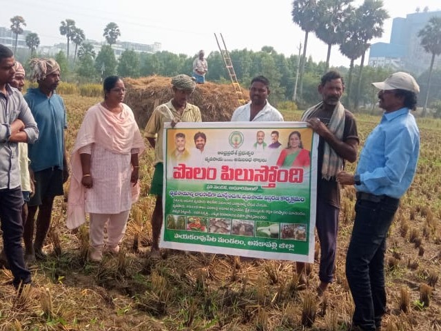 ‘సాగులో యజమాన్య పద్ధతులు పాటించాలి’