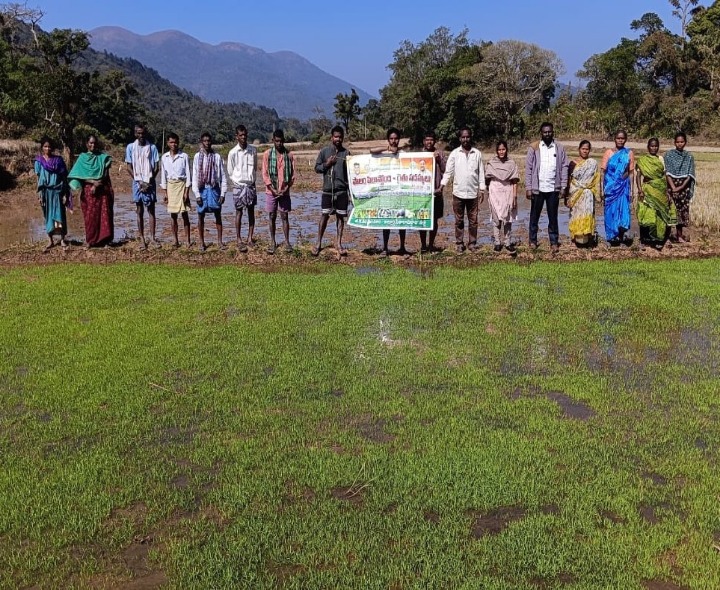 ’90శాతం రాయితీపై వేరుశనగ విత్తనాలు’