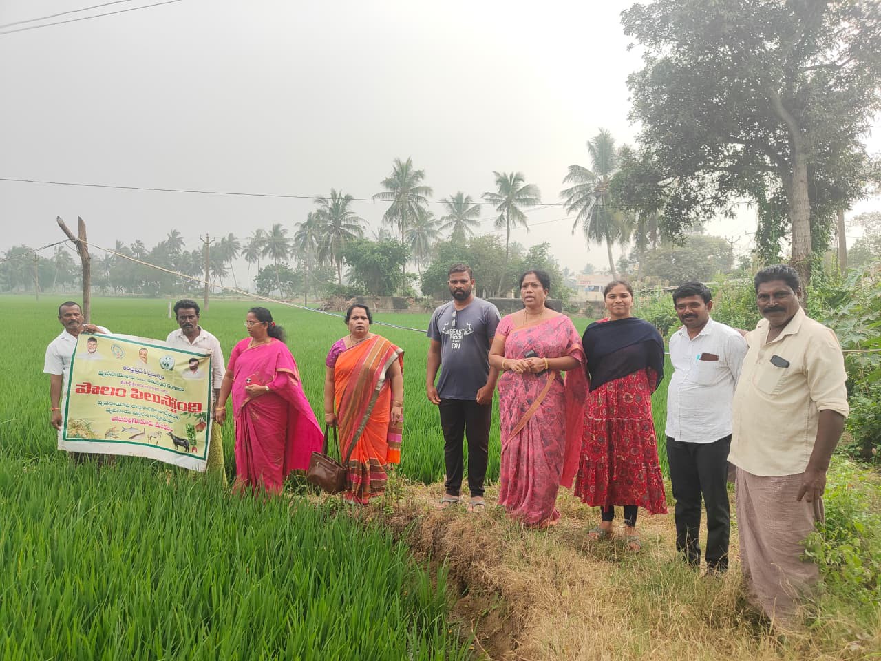 కలుపు నియంత్రణపై రైతులకు అవగాహన