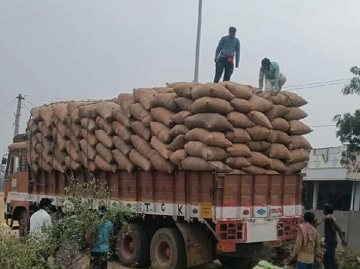 జిల్లాలో 4,414 మెట్రిక్ టన్నుల వరి ధాన్యం సేకరణ