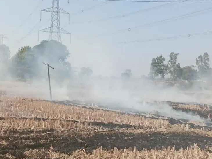 రైతన్నా.. ఇదేం తీరన్నా