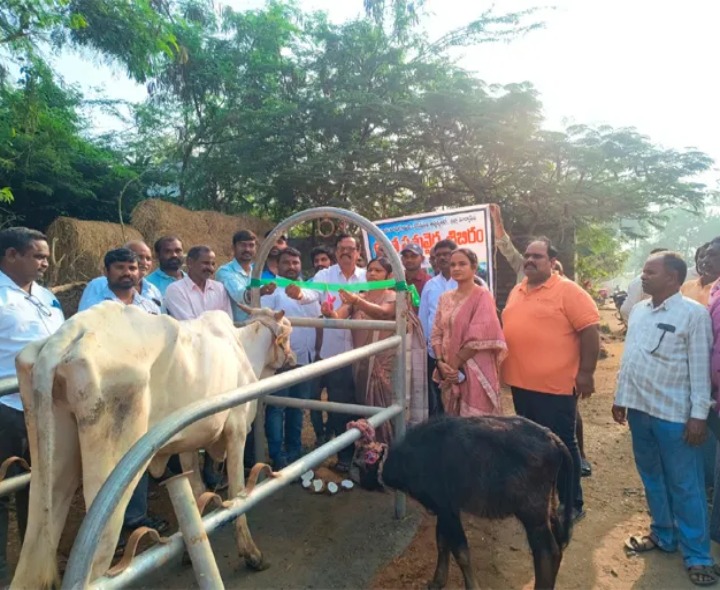 మేడారం గ్రామంలో పశువైద్య శిబిరం