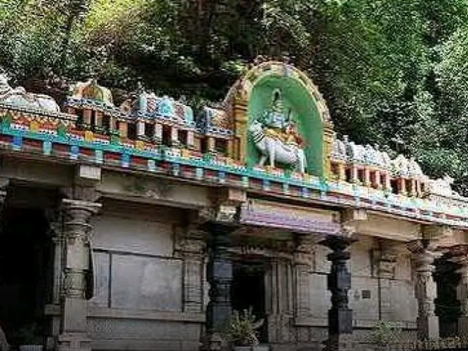 అడవిలో అద్భుత గుడి.. మీరు వెళ్లారా?