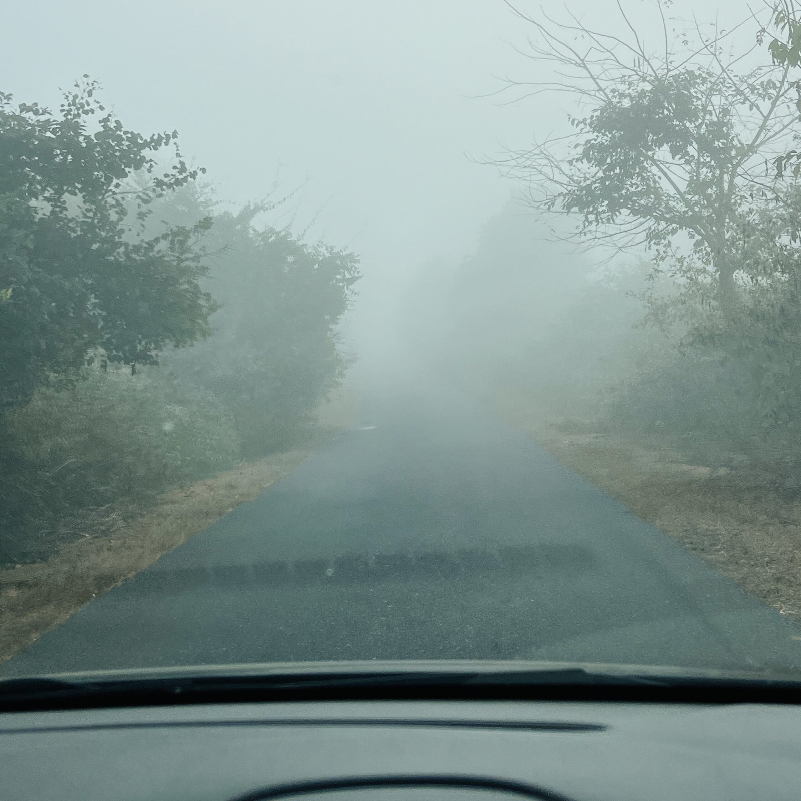 మంచు కురిసే వేళలో..!