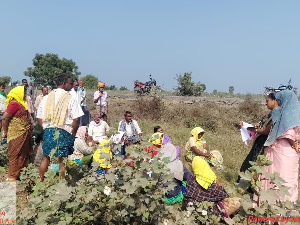 ఉపాధి కూలీల పనితీరు పరిశీలించిన ఏపీవో