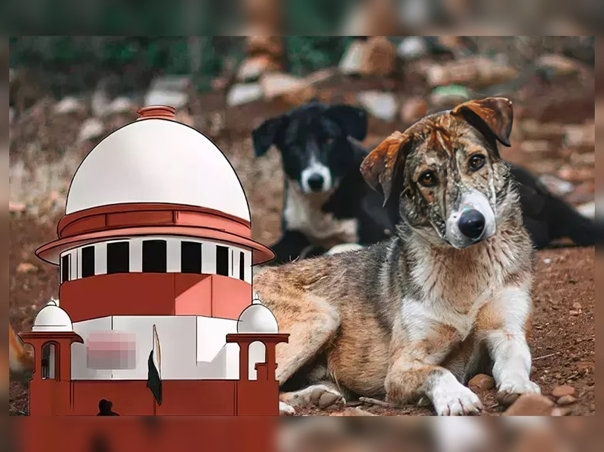 వీధి కుక్కల తరలింపుపై సుప్రీం కోర్టు కీలక క్లారిటీ