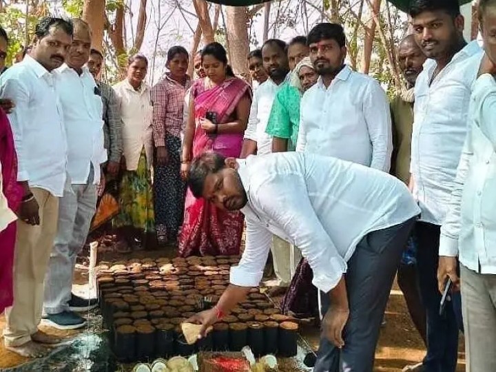 నర్సరీ పనులను ప్రారంభించిన సర్పంచ్