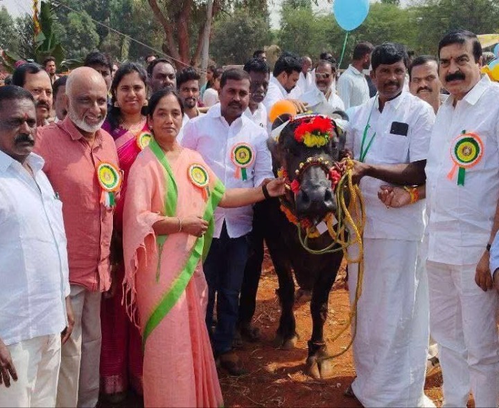 ఆకుతోటపల్లిలో పాడి పశువుల ప్రదర్శన