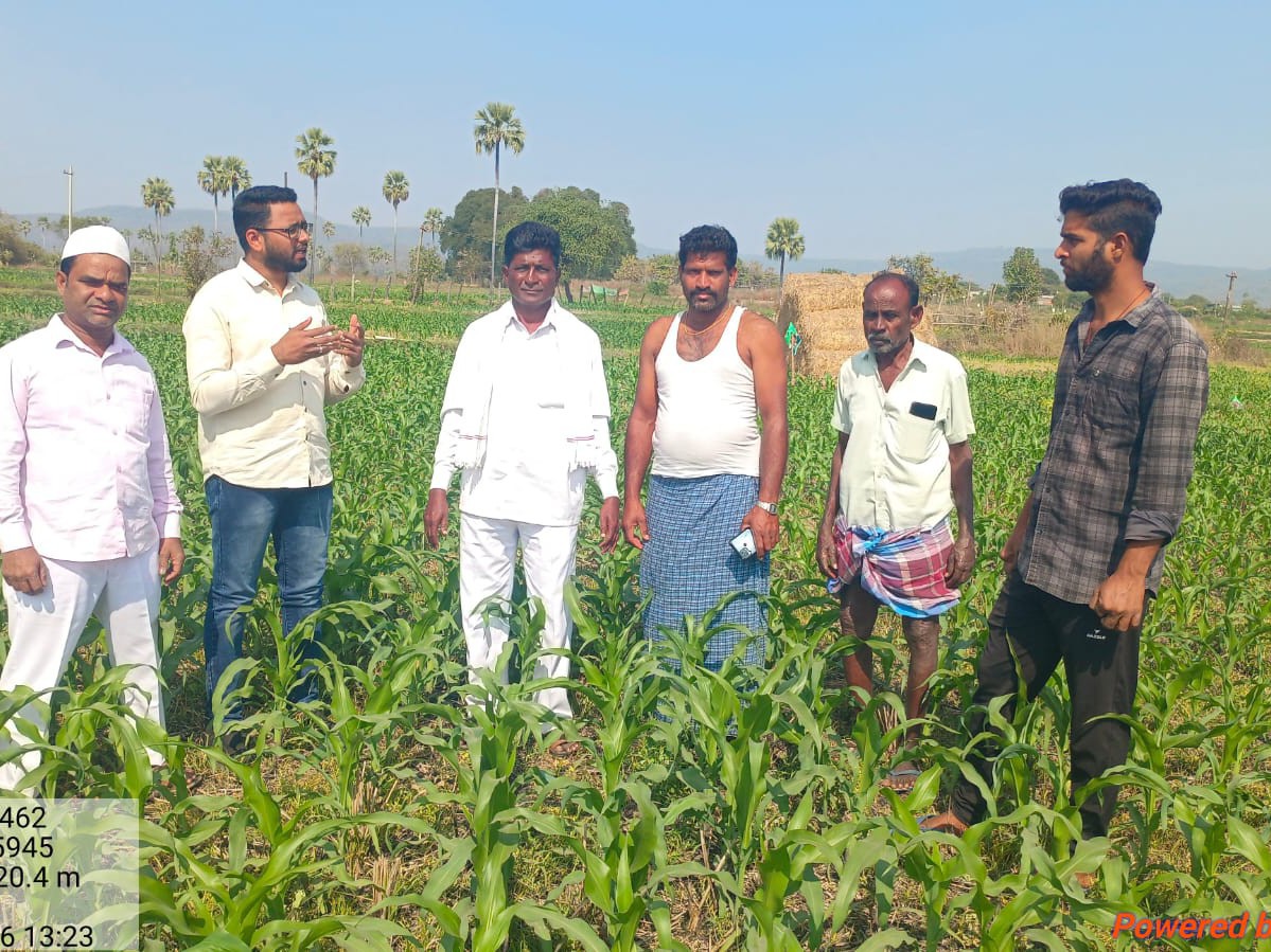 రైతులకు ఏఈవో సూచనలు