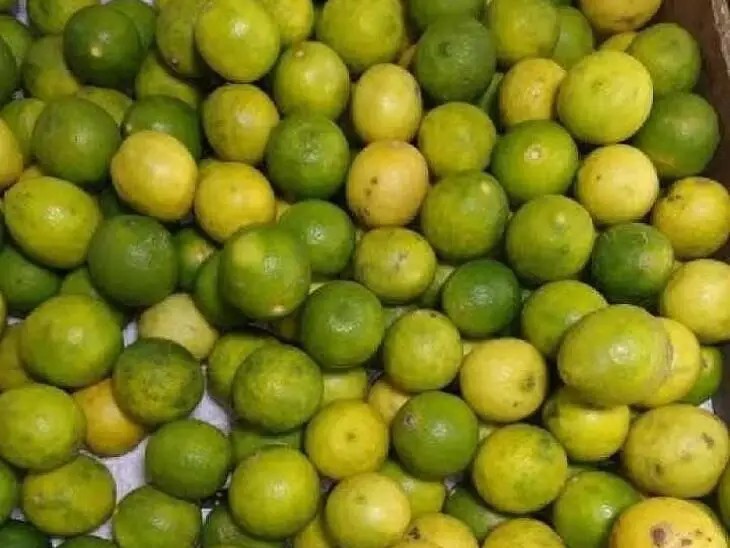 తగ్గిన నిమ్మ ధర .. నష్టాల్లో రైతులు