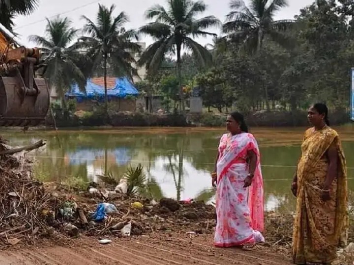 స్వచ్ఛ పంచాయతీలకు ప్రభుత్వం కృషి: సర్పంచ్