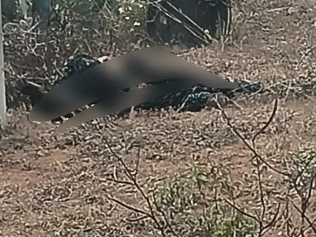 పొలాల్లో సగం కాలిన శవం కలకలం