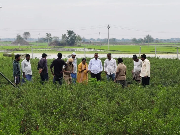 అనుమానాస్పద పాదముద్రలపై అటవీ శాఖ పరిశీలన