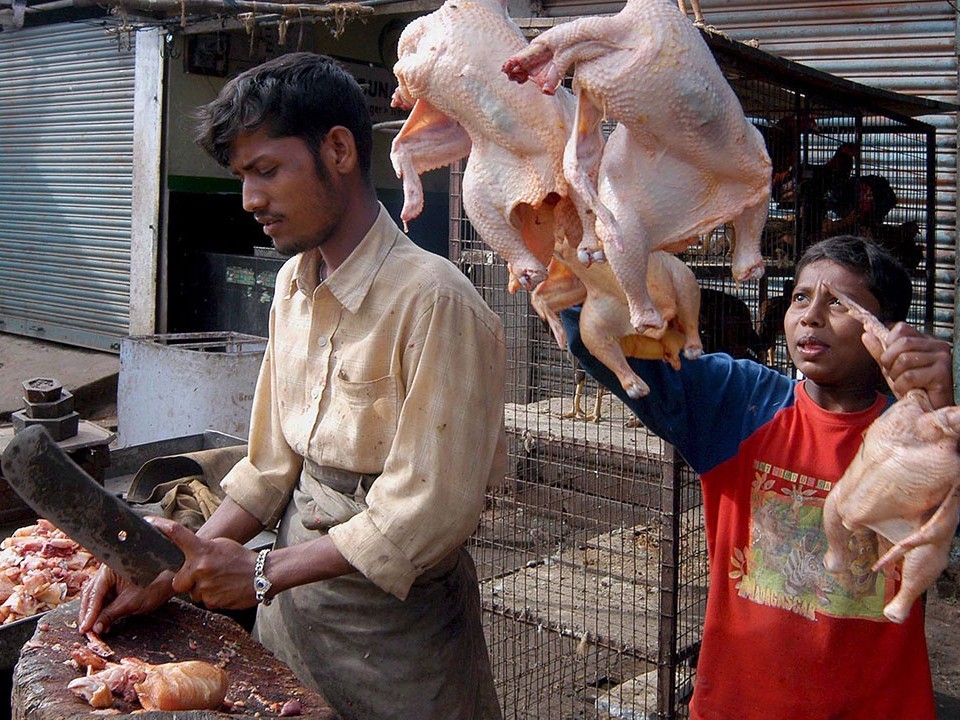 జిల్లాలో  నేటి మాంసం ధరలివే..!