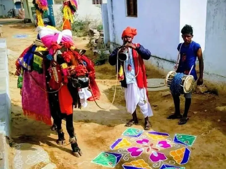 పల్లెల్లో బసవన్నల సందడి