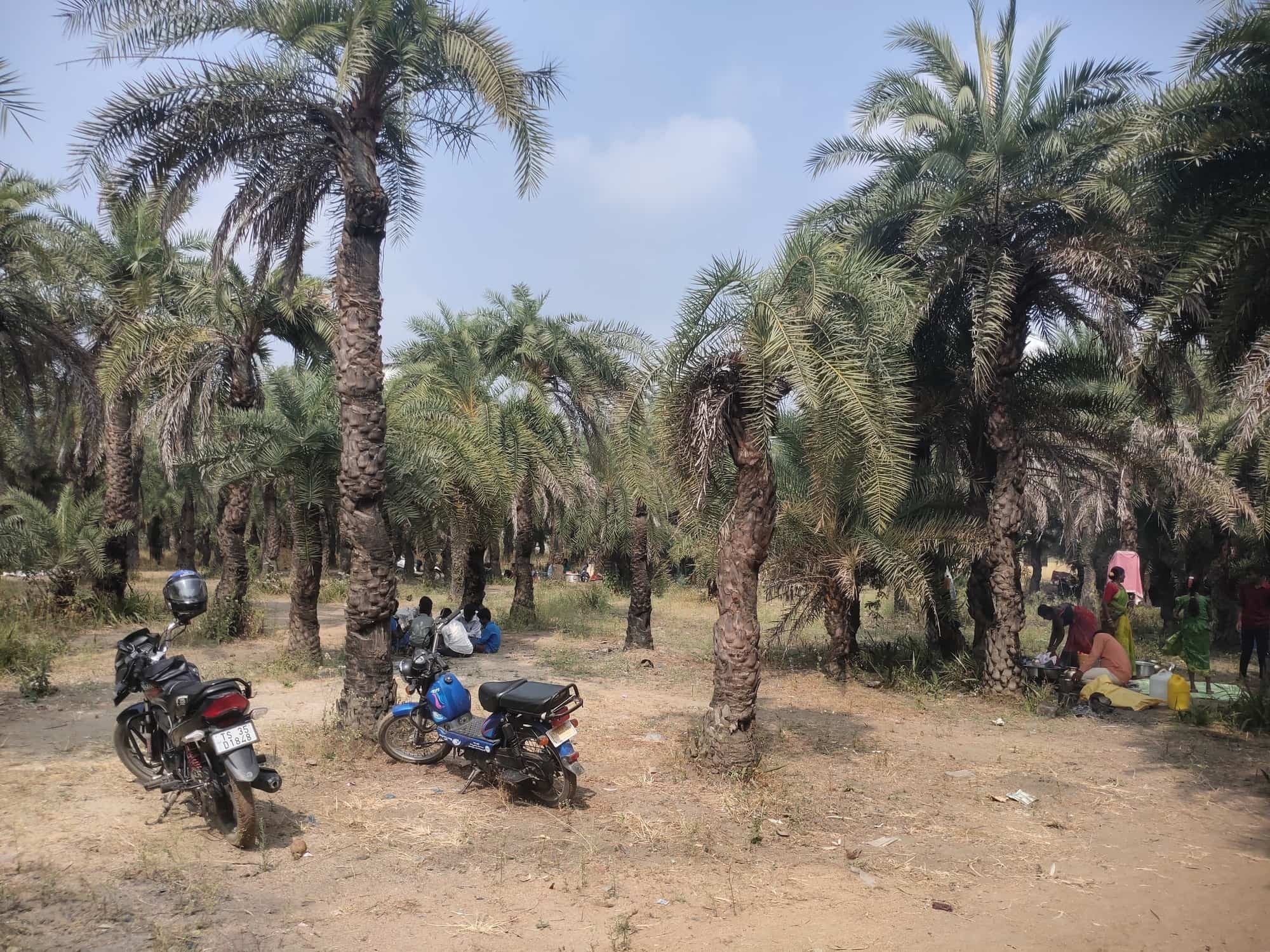 అన్నోజిగూడ, ఘట్కేసర్‌లో స్వచ్ఛమైన కల్లు కష్టమే..!