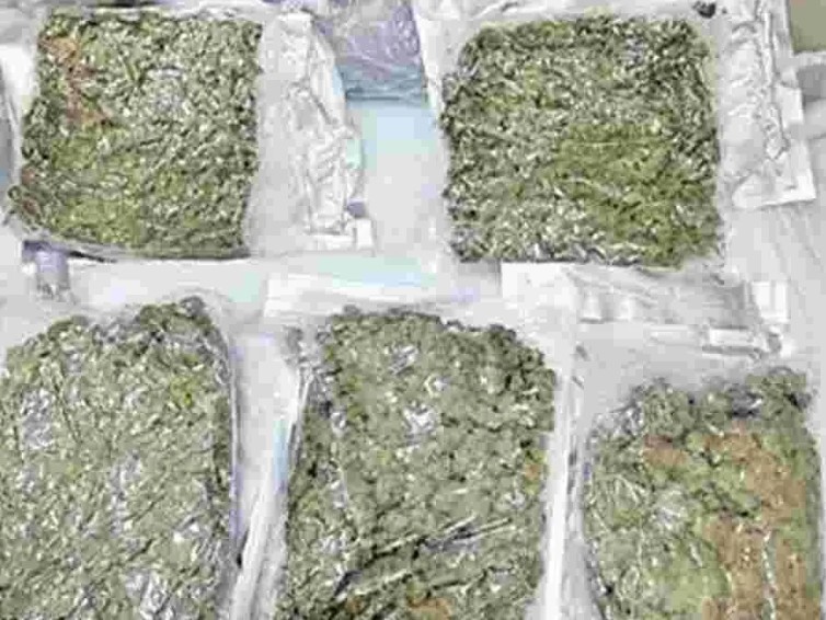 నల్గొండలో గంజాయి నిందితుల అరెస్ట్