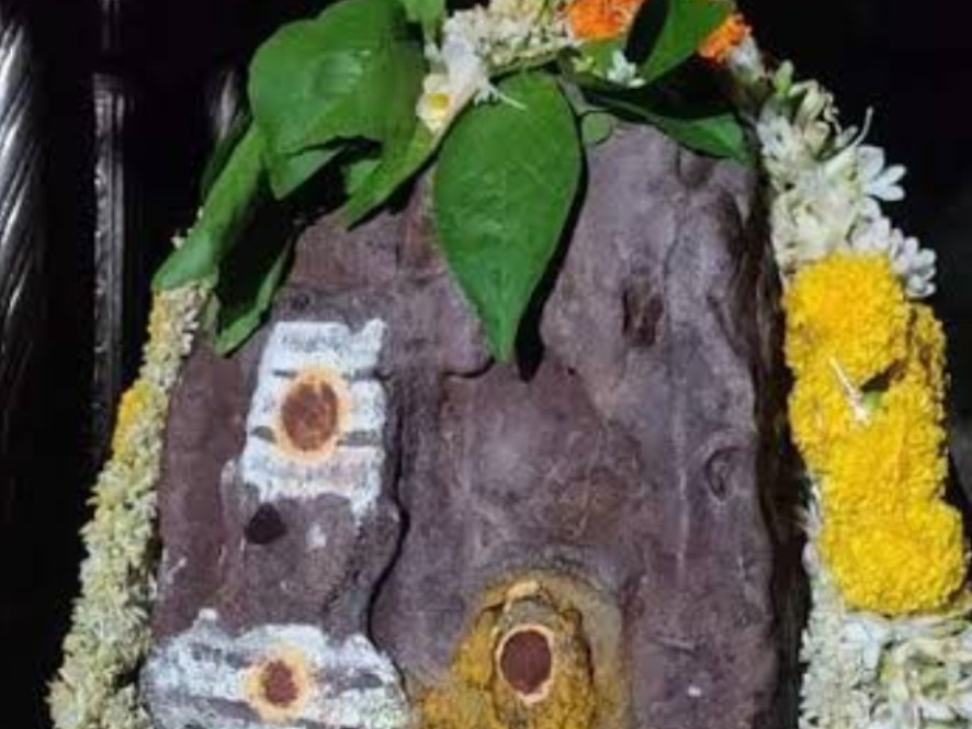 యాగంటిలో ప్రత్యేక  పూజ కార్యక్రమాలు