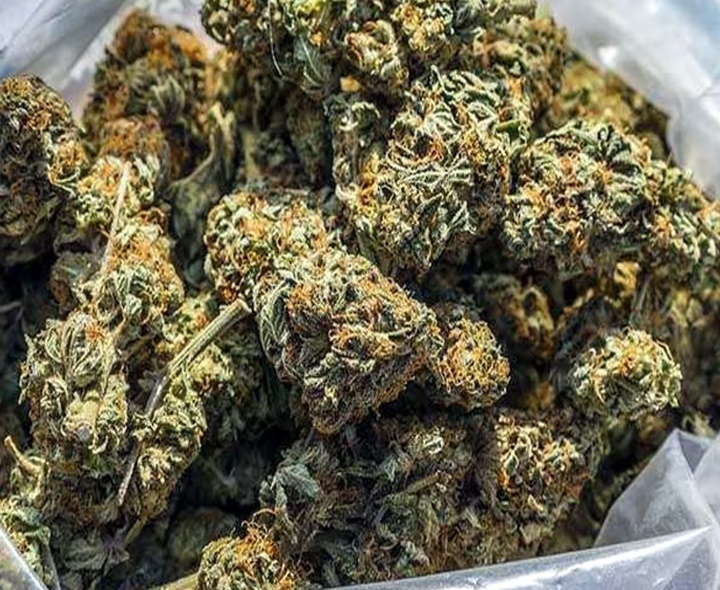 టోల్‌గేట్ వద్ద భారీగా గంజాయి పట్టివేత