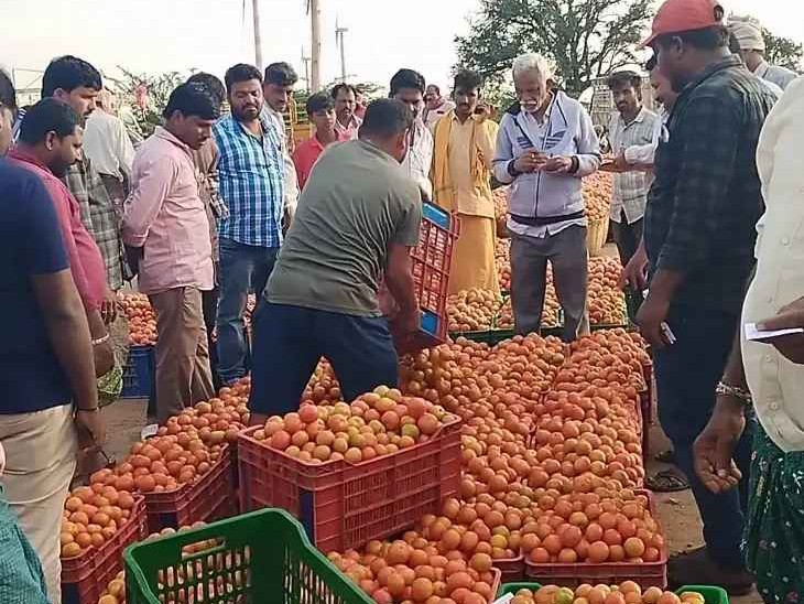 ఆస్పరి మార్కెట్లో తగ్గిన టమోటా ధరలు