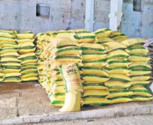 mike tyson vijay devarakonda