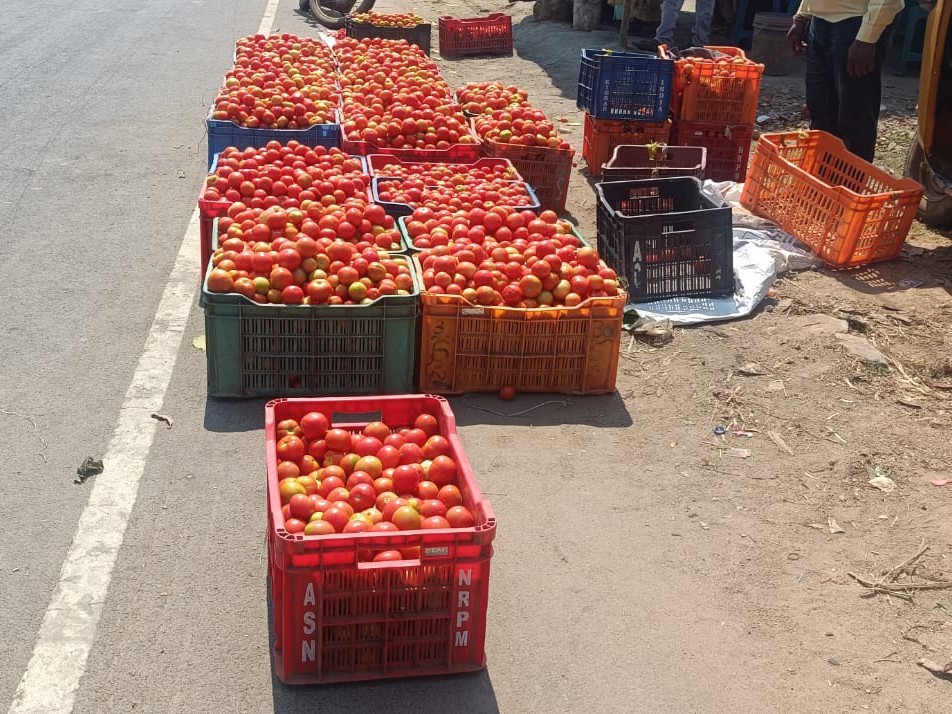 టమాటా కేజీ ధర రూ.5 మాత్రమే..!