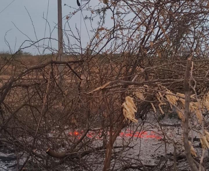 పెద్దిరెడ్డిపల్లి ఫీడర్‌లో విద్యుత్ అంతరాయం