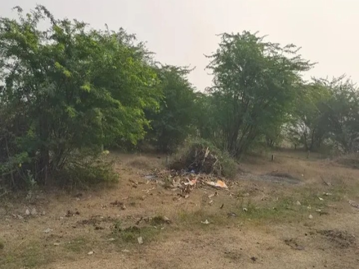 అభివృద్ధికి నోచుకోని జగనన్న లేఔట్