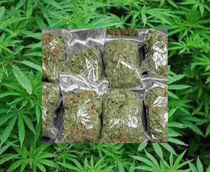 గంజాయి కేసు.. విద్యార్థుల తల్లిదండ్రులలో ఆందోళన.!