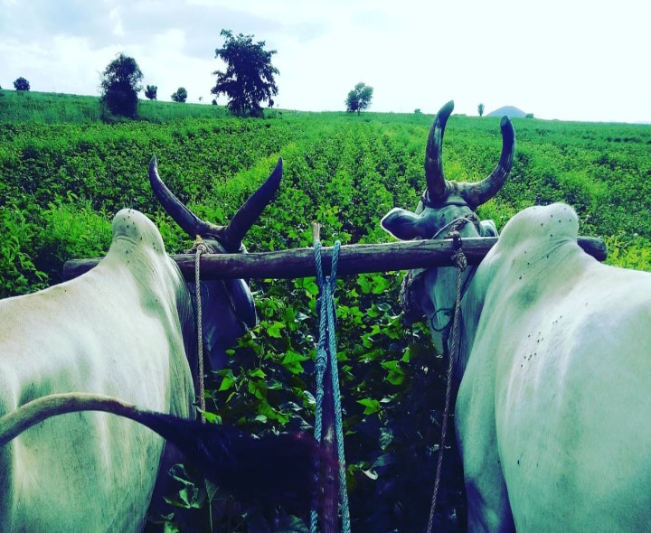 ఫార్మర్ రిజిస్టీకి మరో 7 రోజులే గడువు..!