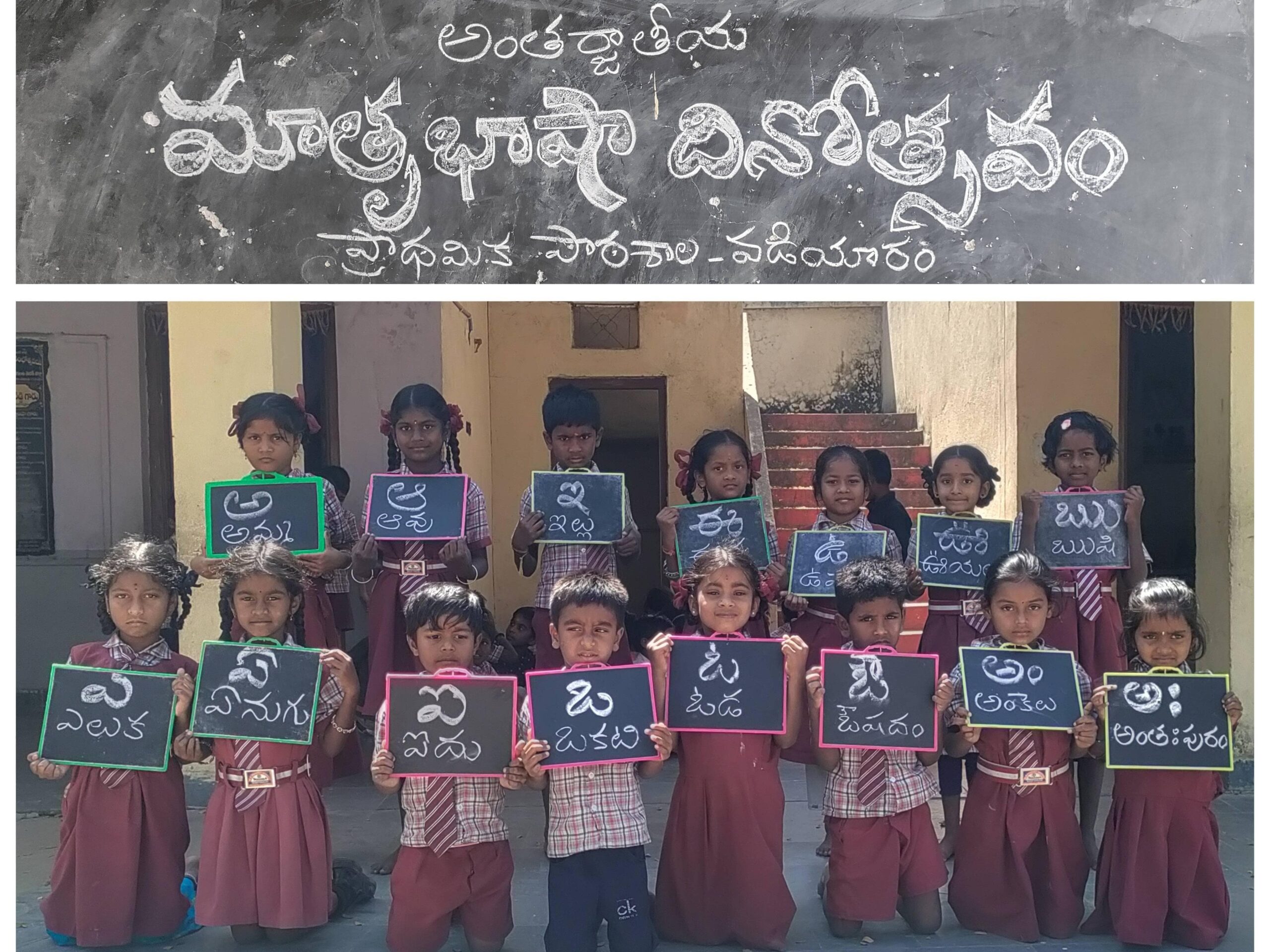 పాఠశాలలో అంతర్జాతీయ మాతృభాషా దినోత్సవం