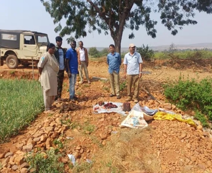 కరెంటు షాక్‌తో అడవిపంది మృతి