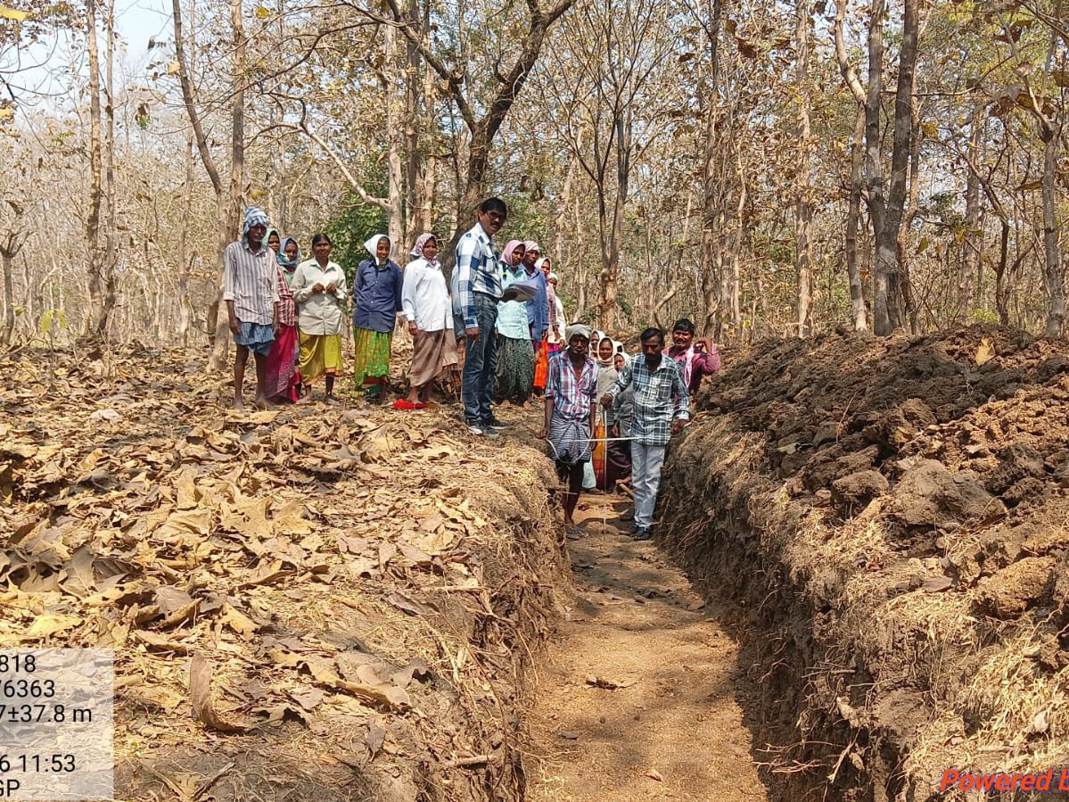 నర్సరీలను పరిశీలించిన అధికారులు