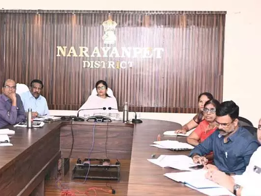 ఇంటర్ పరీక్షలు పకడ్బందీగా నిర్వహించాలి: కలెక్టర్