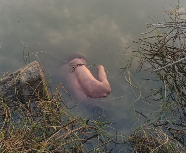 చెరువులో పడి రైతు మృతి