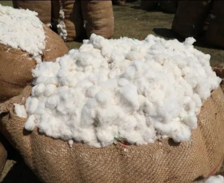 ఈ నెల 27తో ముగియనున్న పత్తి కొనుగోళ్లు