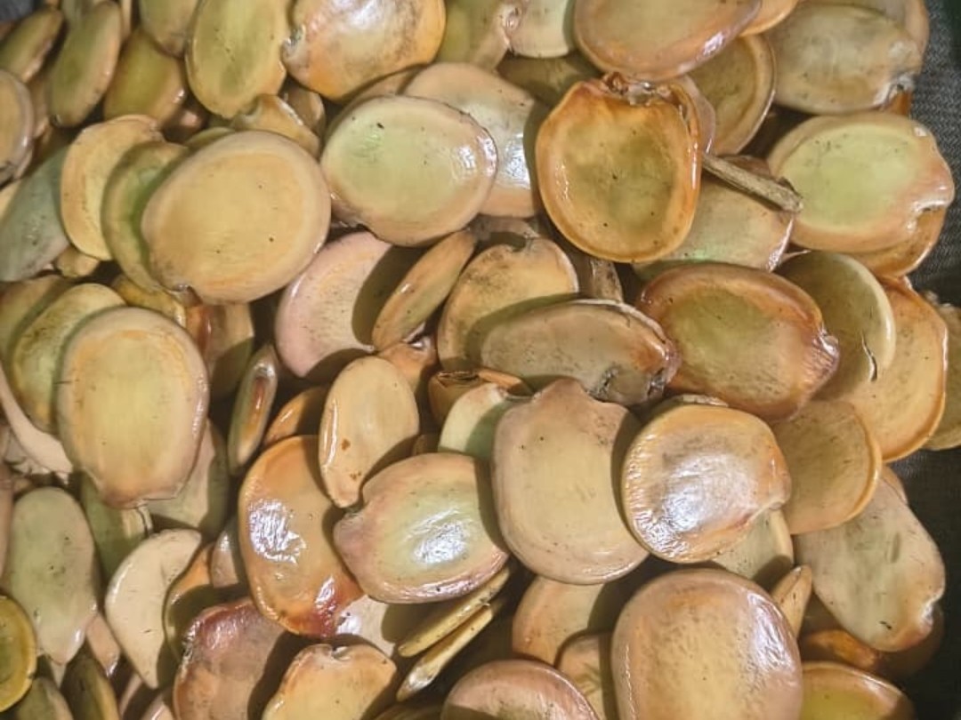 ఆకాశాన్నంటిన అడ్డపిక్క ధర