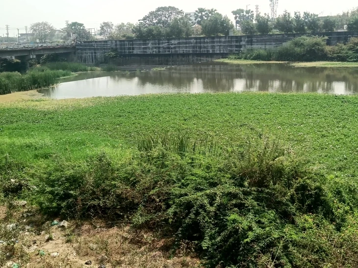 గుర్రపుడెక్కతో నిండిపోవడంతో రైతుల ఆందోళన